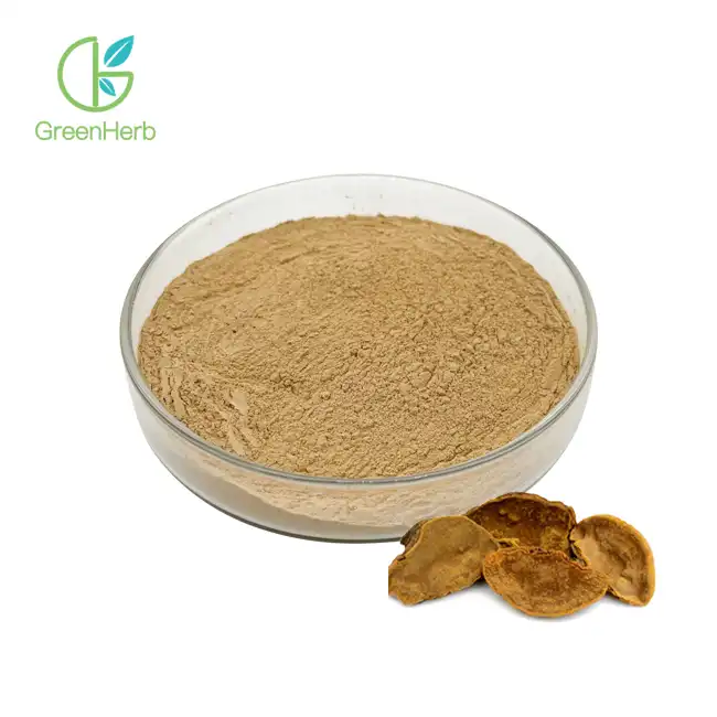 Phellinus Igniarius Extract